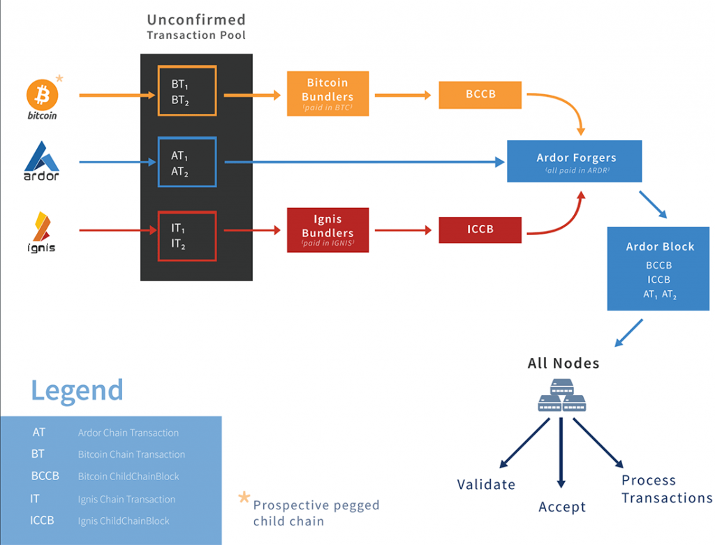 Ardor Childchain bundelen