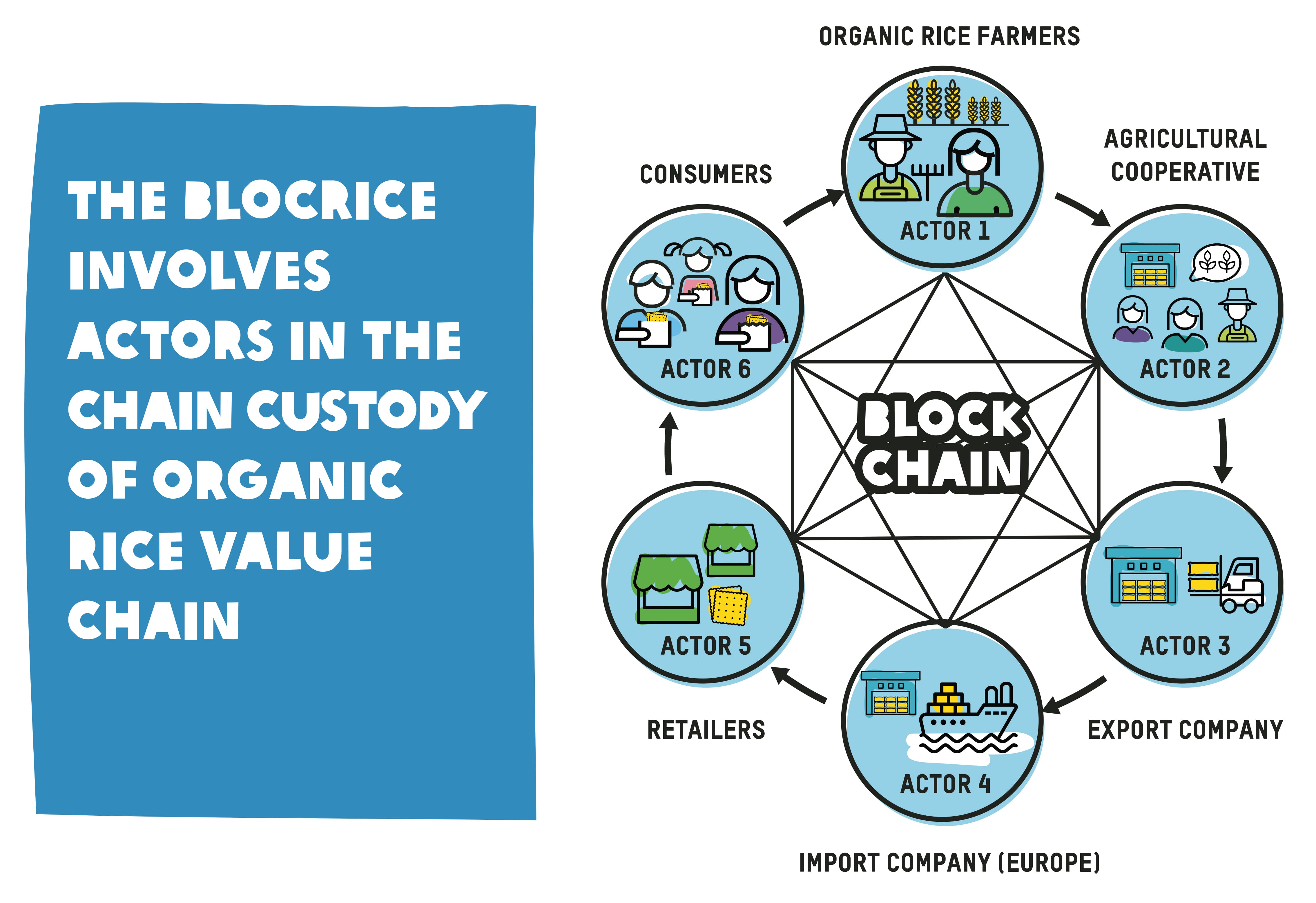 Blocrice - supply chain