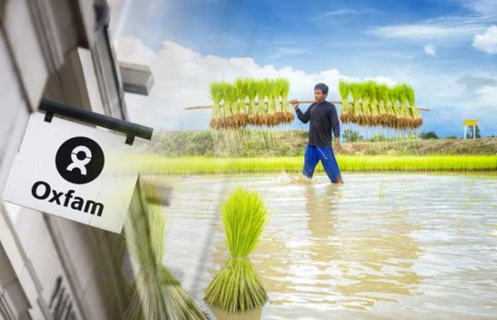Blockchain in Cambodja #2: Blocrice, supply chain in rijstindustrie