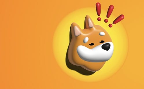 wat is de bonk crypto