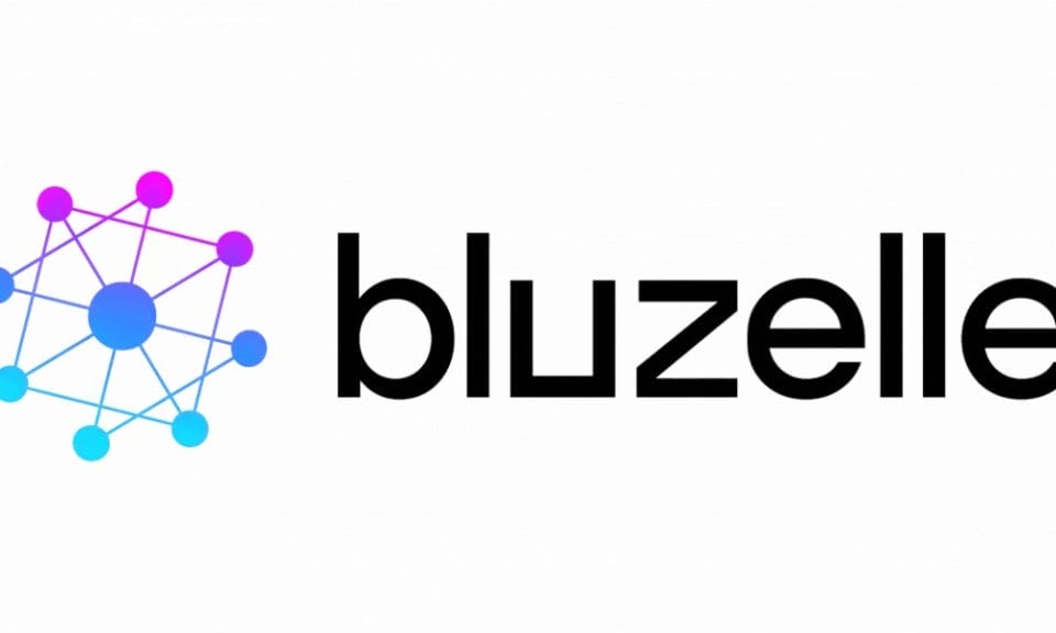 wat is bluzelle crypto