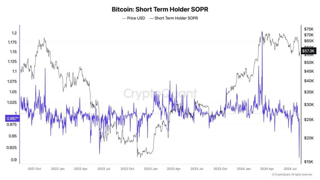 bitcoin investor losses market correction 2024