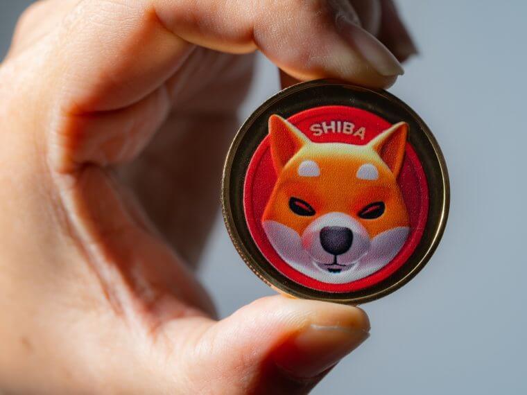 100 nieuwe shiba inu whales in 24 uur hoe komt dit