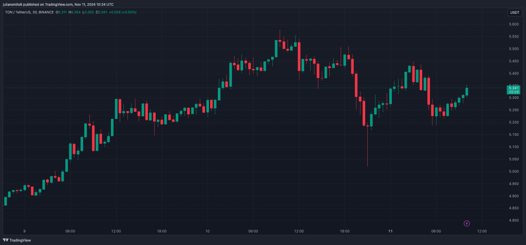 Toncoin Kursgrafik 11. November 2024