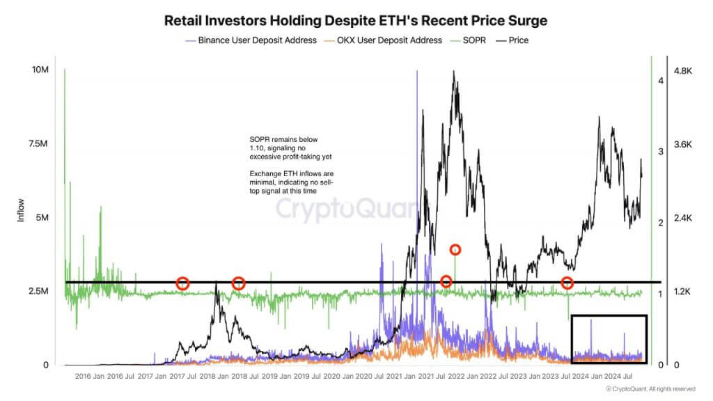 Private Anleger, die Ethereum halten