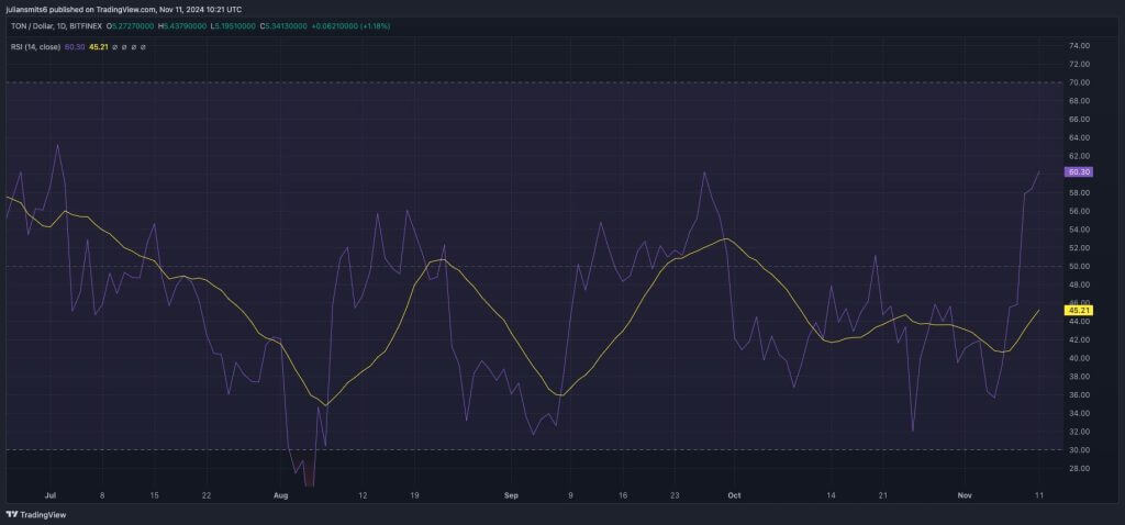 Toncoin RSI 11. November 2024