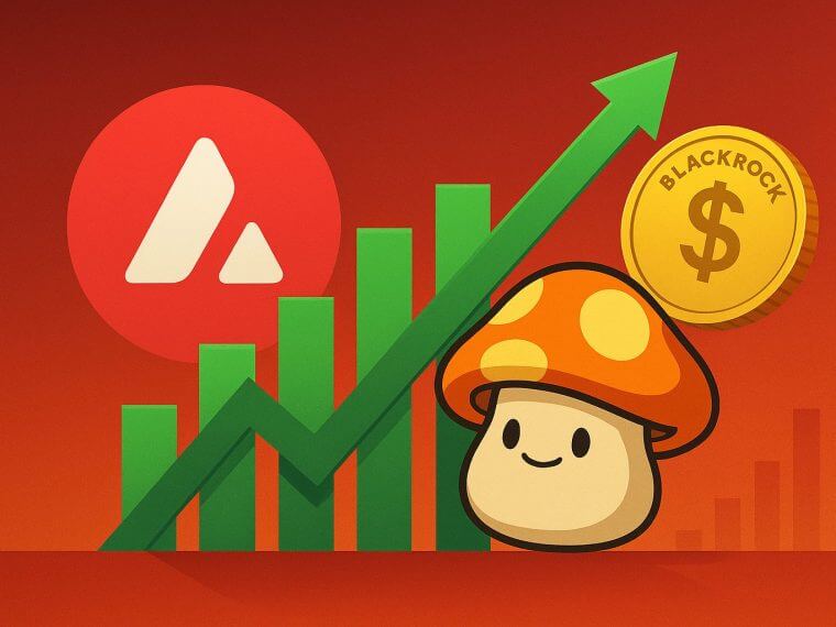 Avalanche bereikt recordactiviteit dankzij MapleStory en sBUIDL