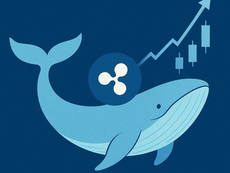 Ripple whale activiteit stijgt, zorgt dit voor een doorbraak? logo