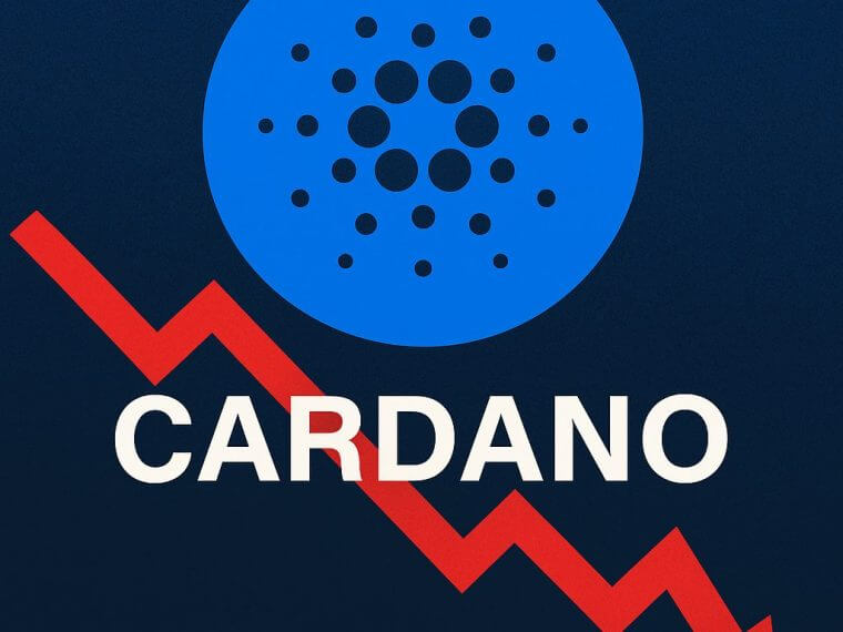 Waarom Cardano een prijsdaling van 20% kan verwachten