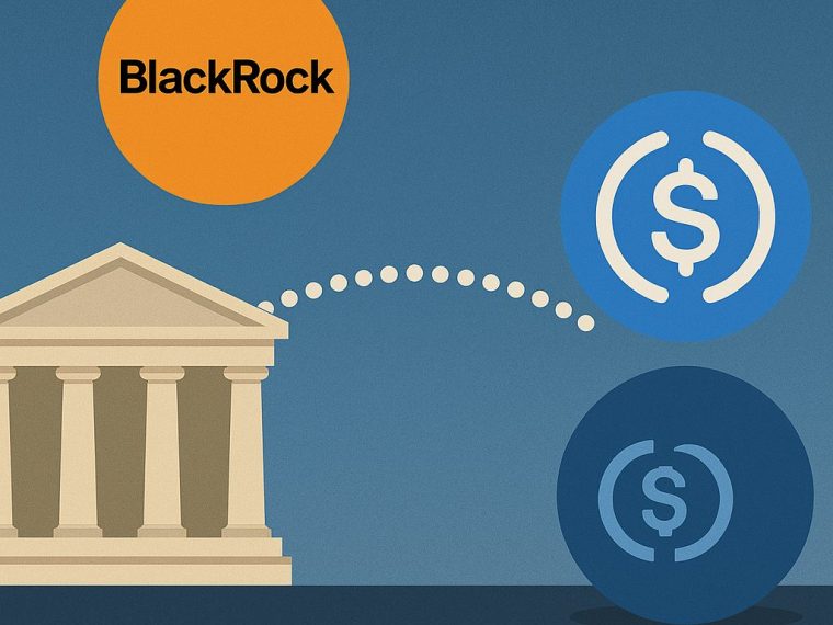 blackrock circle usdc ipo finance bridge