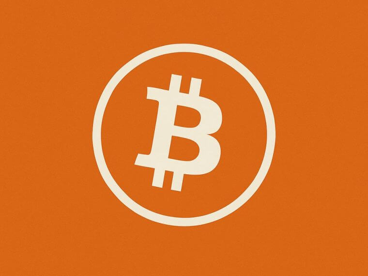 nakamoto bitcoin investment orange symbol header
