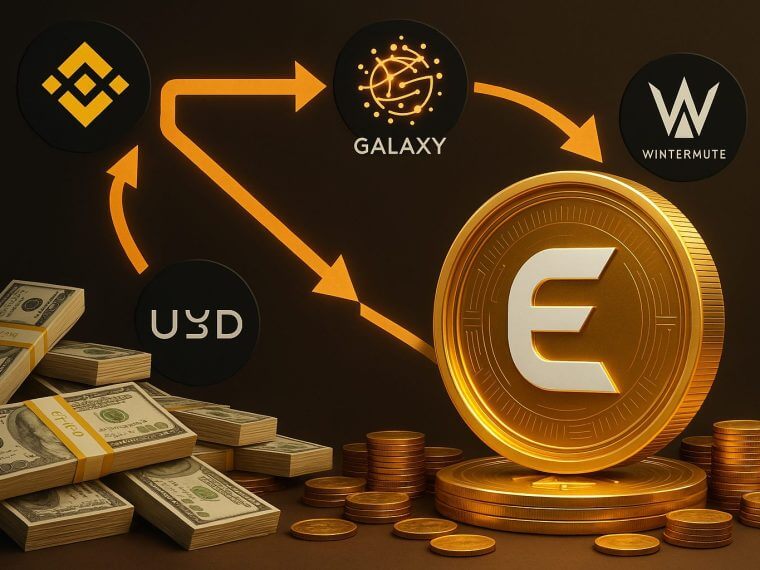 hayes ena wallet transactie analyse