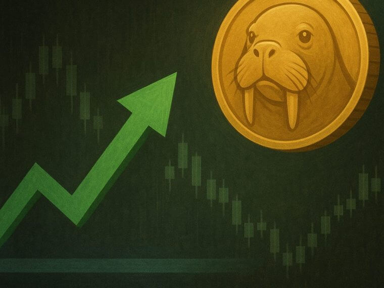 walrusbullishmomentum