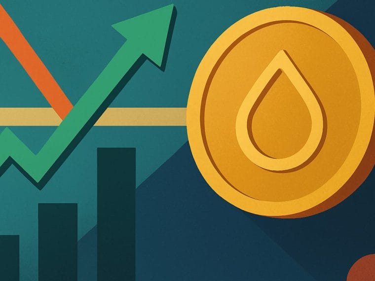 sui support bounce rally