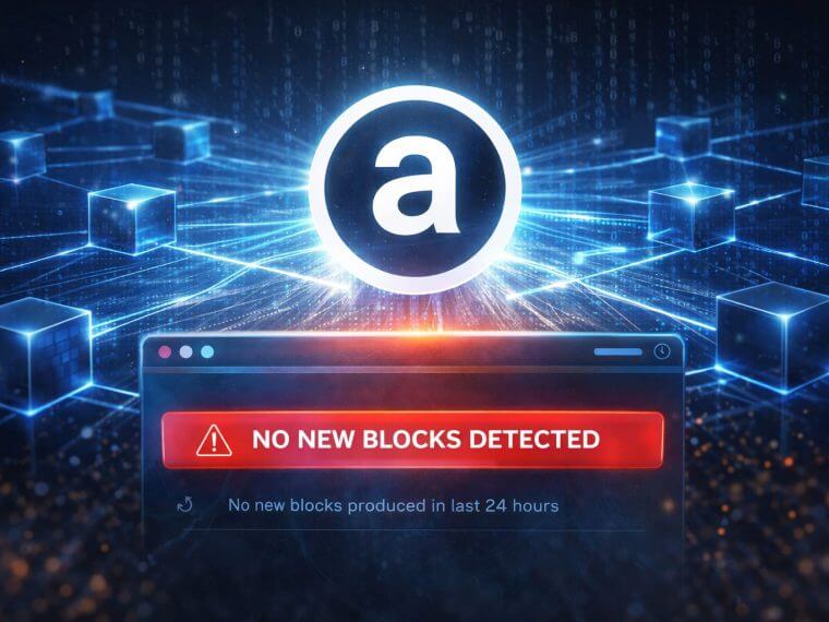 Arweave werkt gewoon: fout bij block explorer zorgt voor verwarring